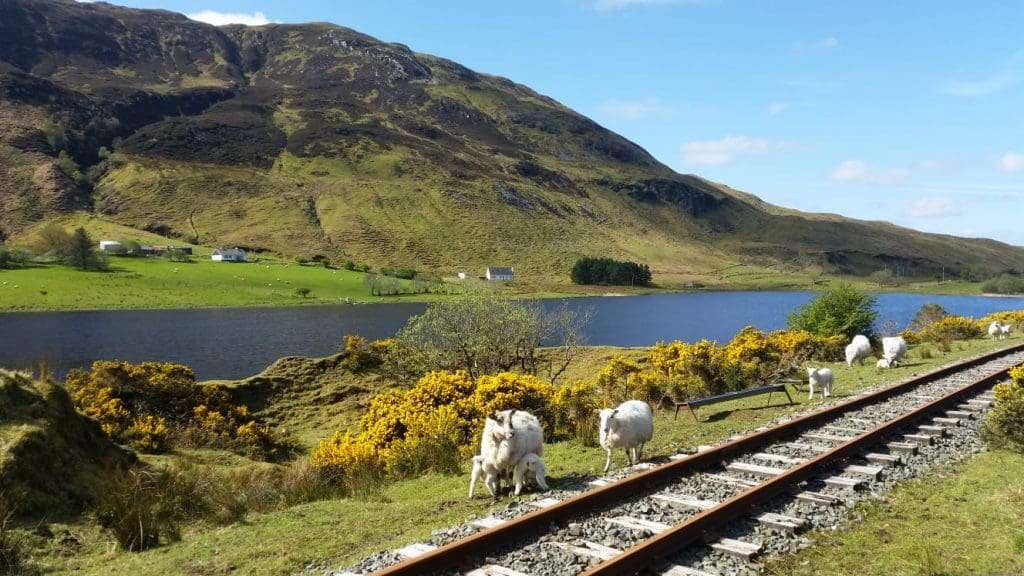 Private Tours of Ireland
