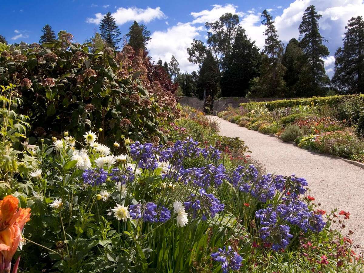The-Iveagh-Gardens-Dublin’s-Secret-Garden