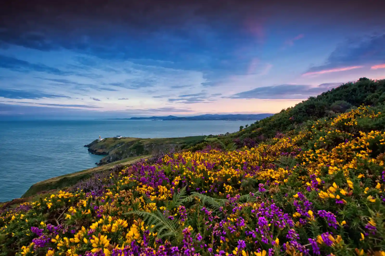 West Cork and the Wild Atlantic Way
