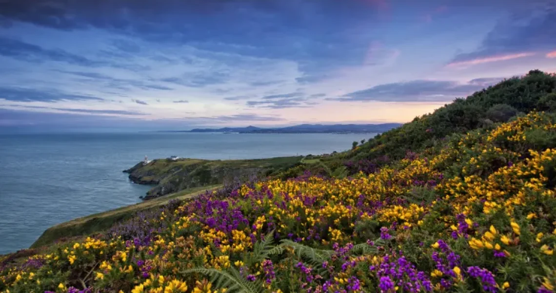 Howth Head_master